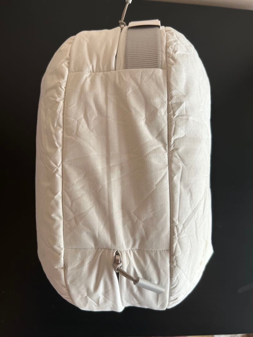 Vision Pro Apple ケース