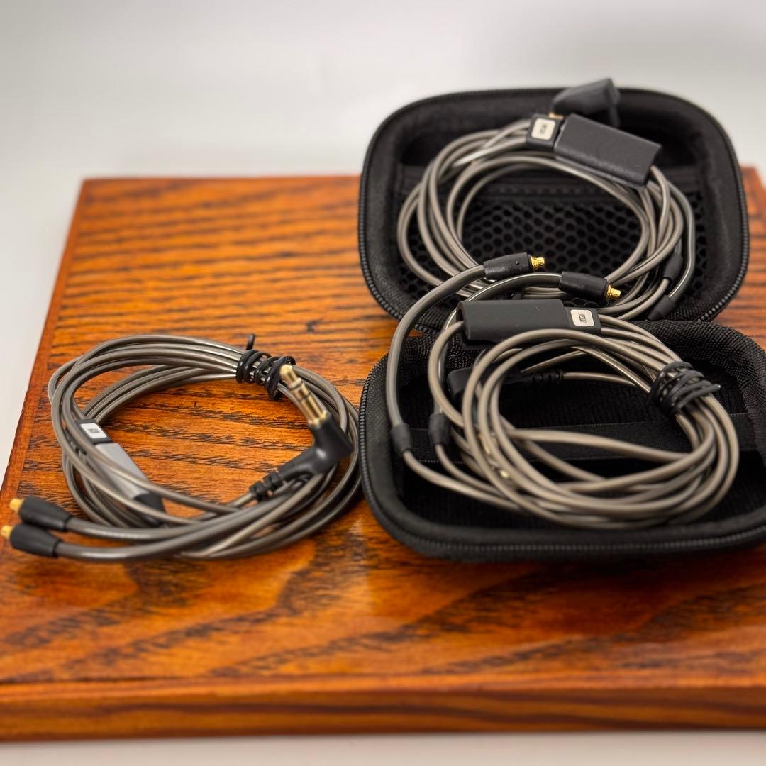 Sennheiser IE900 ゼンハイザー【付属品完備*正規品】