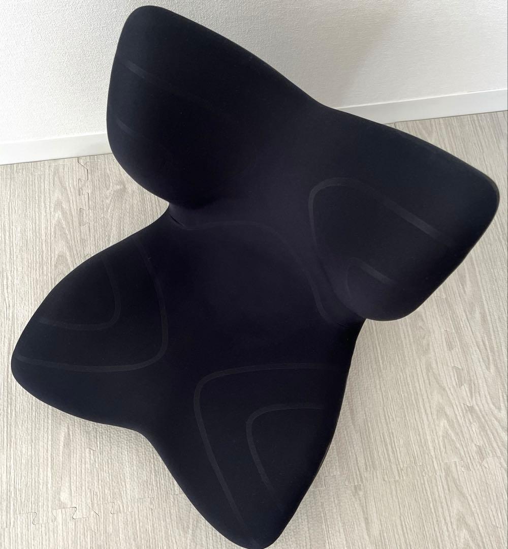 MTG 骨盤矯正クッション 黒　スタイルプレミアム