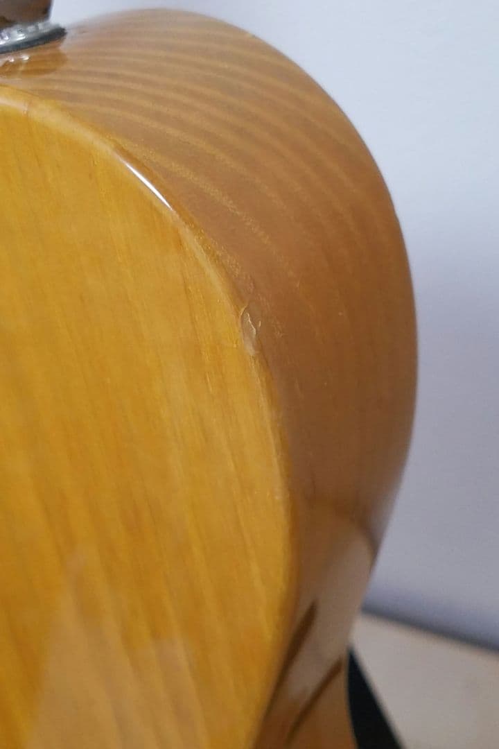 Brian by Bacchus テレキャスターカスタムタイプ エレキギター