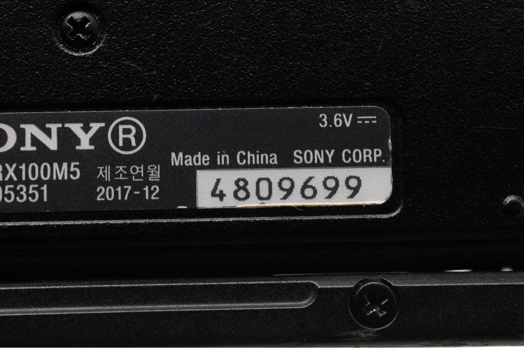 ソニー SONY DSC-RX100M5 RX100V VCT-SGR1