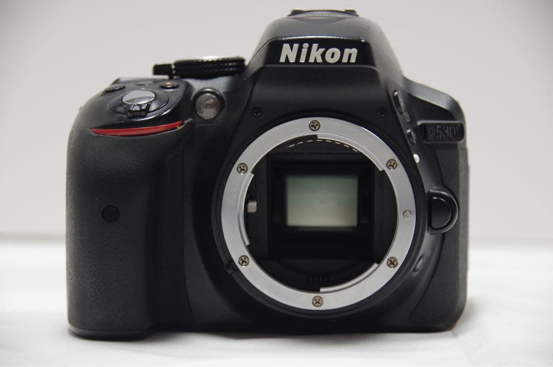 Nikon D5300 18-55mm 一眼レフ スマホ転送 Wi-Fi搭載