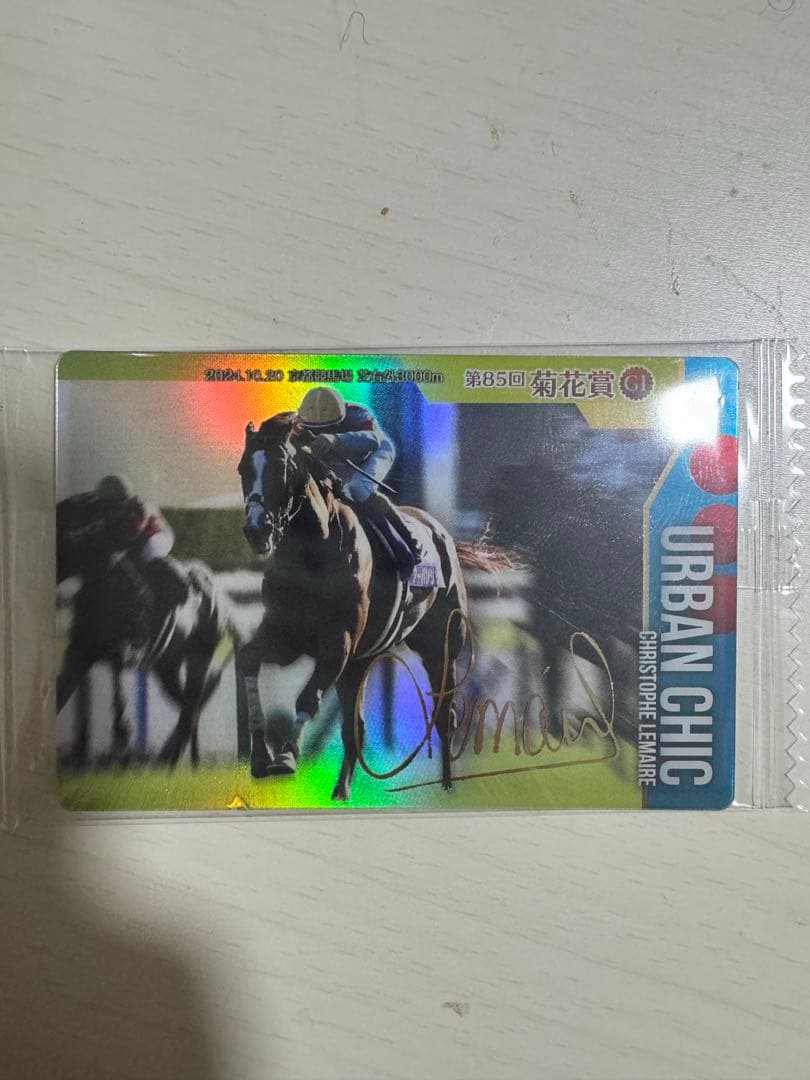 サラブレッドホースコレクション