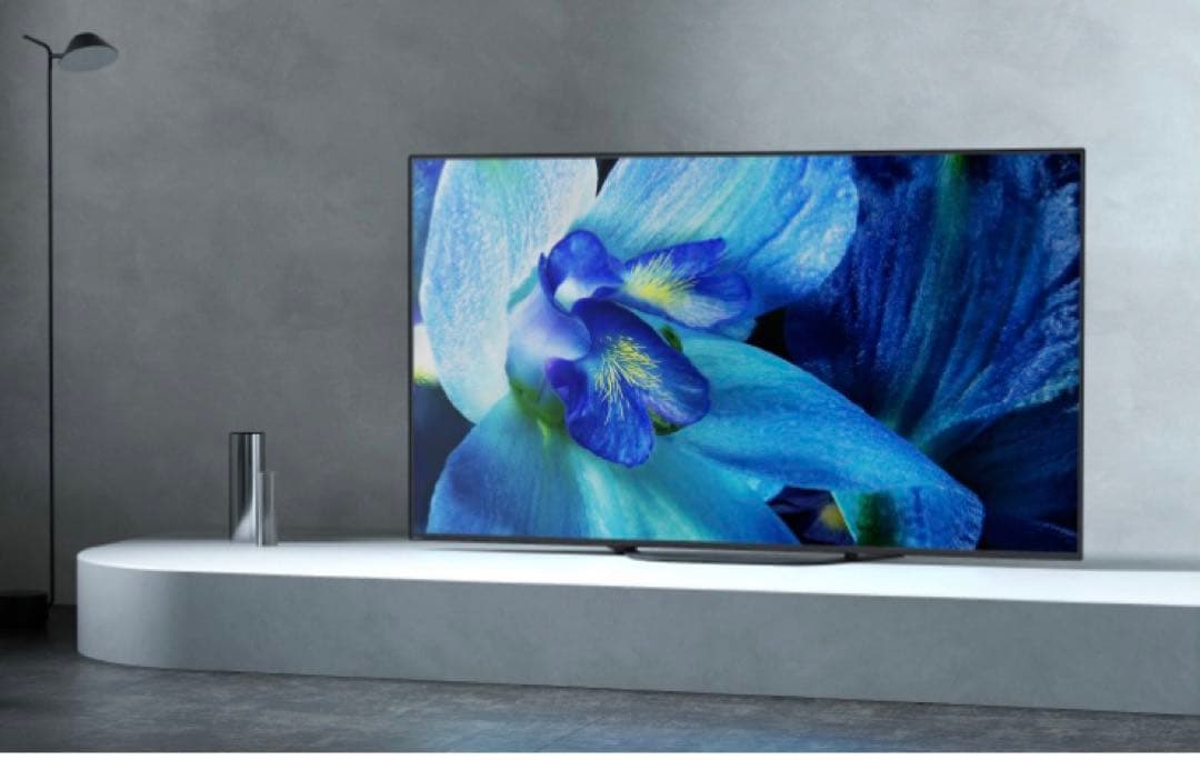 (3/10まで) 55インチ　SONY BRAVIA 有機ELテレビ　4K