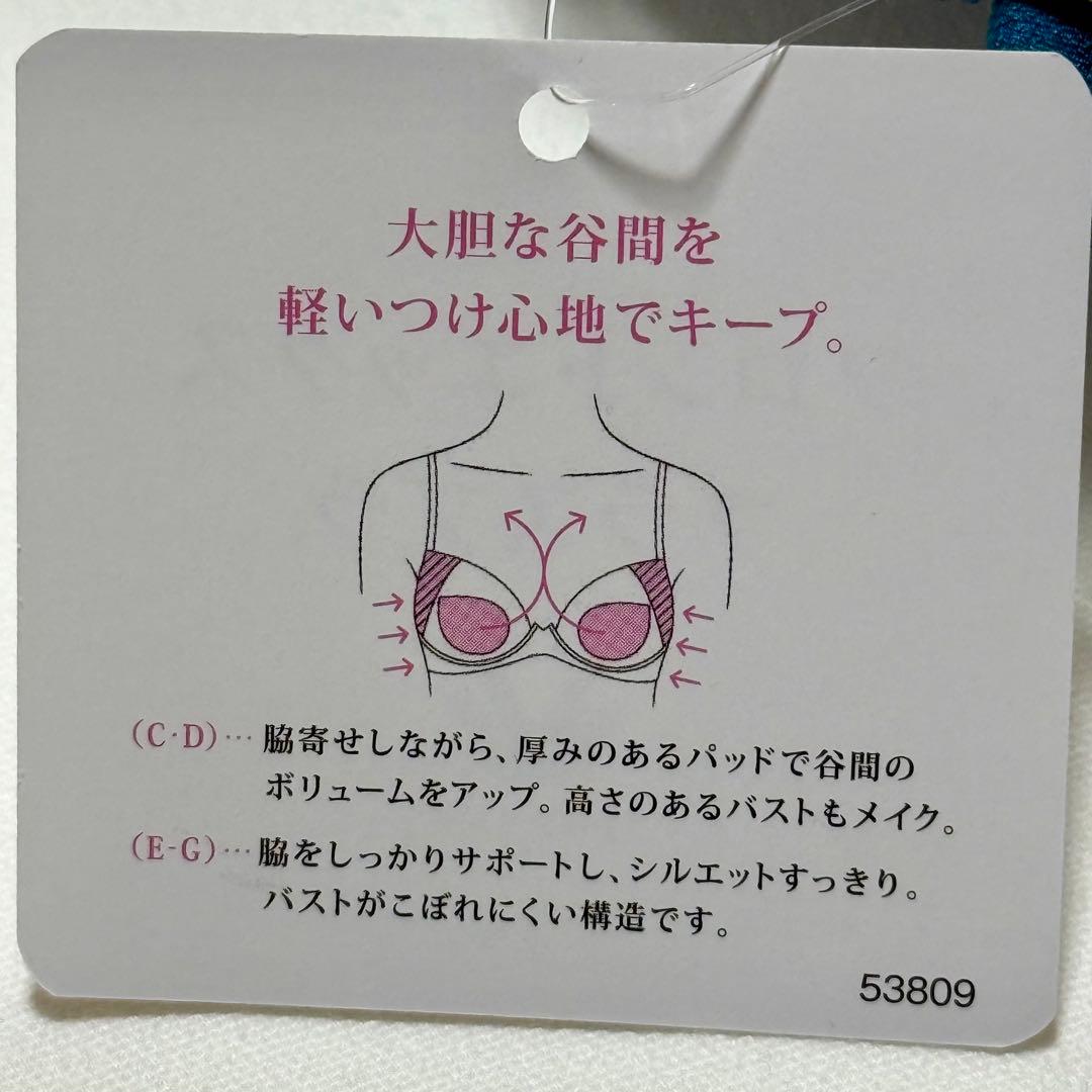 ワコール フロントエックスプラスブラ C70M