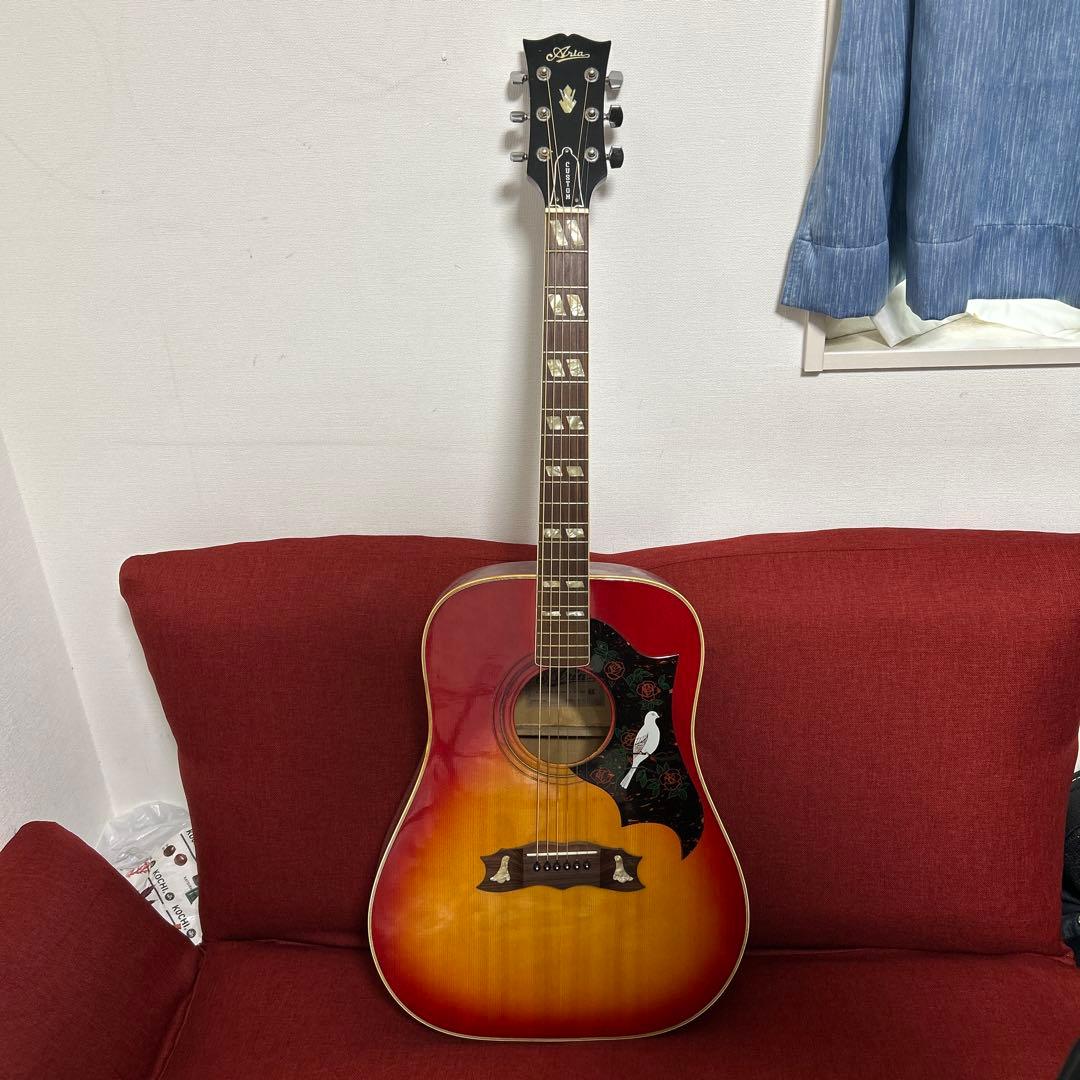 Aria WD-33 アリア　ジャパンビンテージ　ダヴタイプ