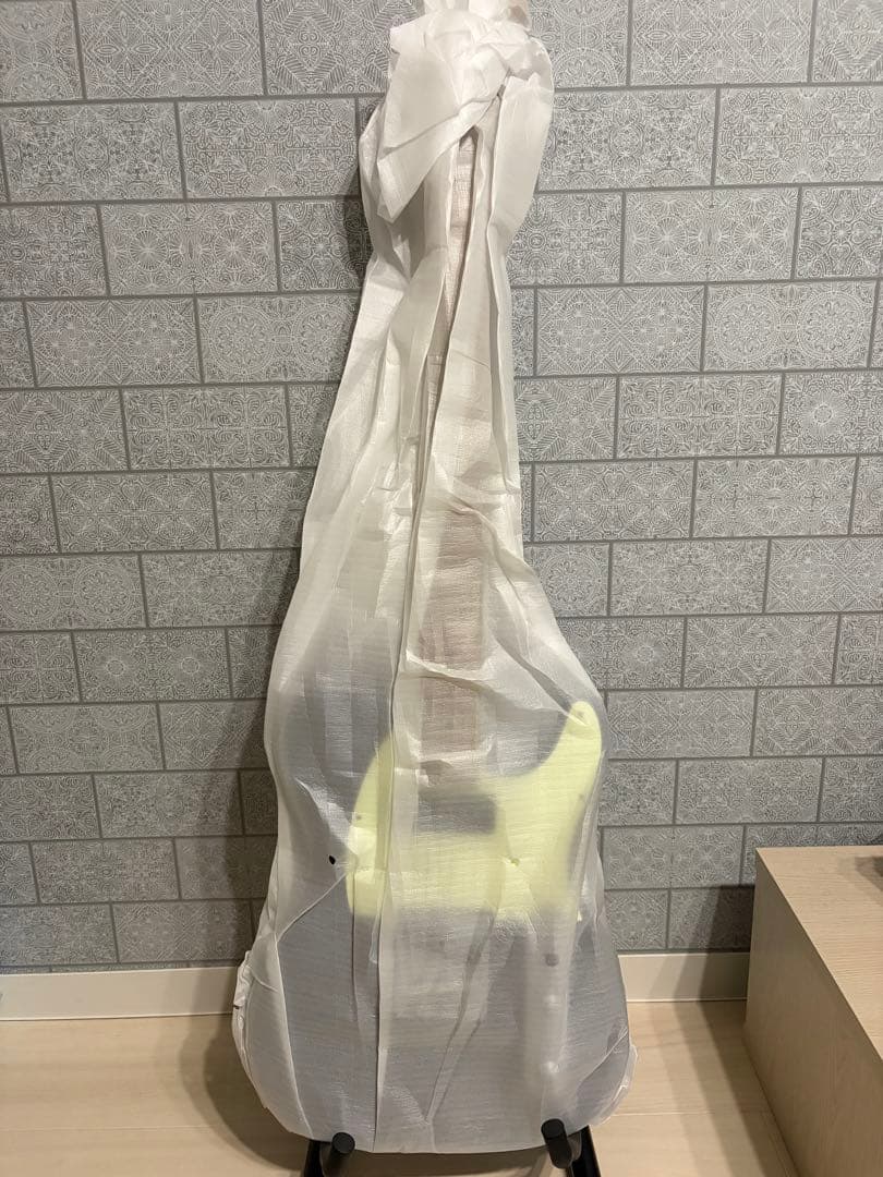 バッカス　BTE-2-RSM 弦張り替え済み　bucchus bte2 ケース付