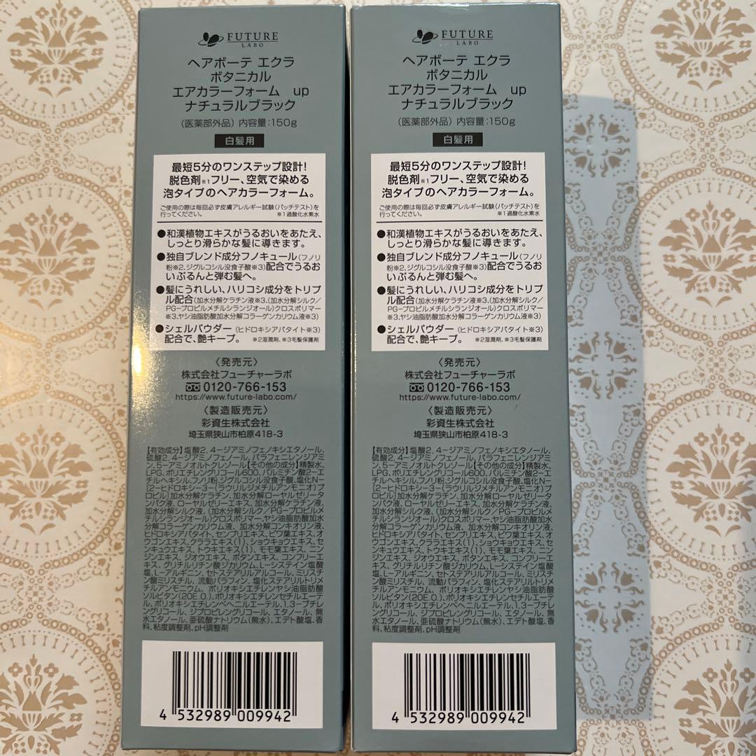 ÉCLAT Botanical air color foam ナチュラルブラック