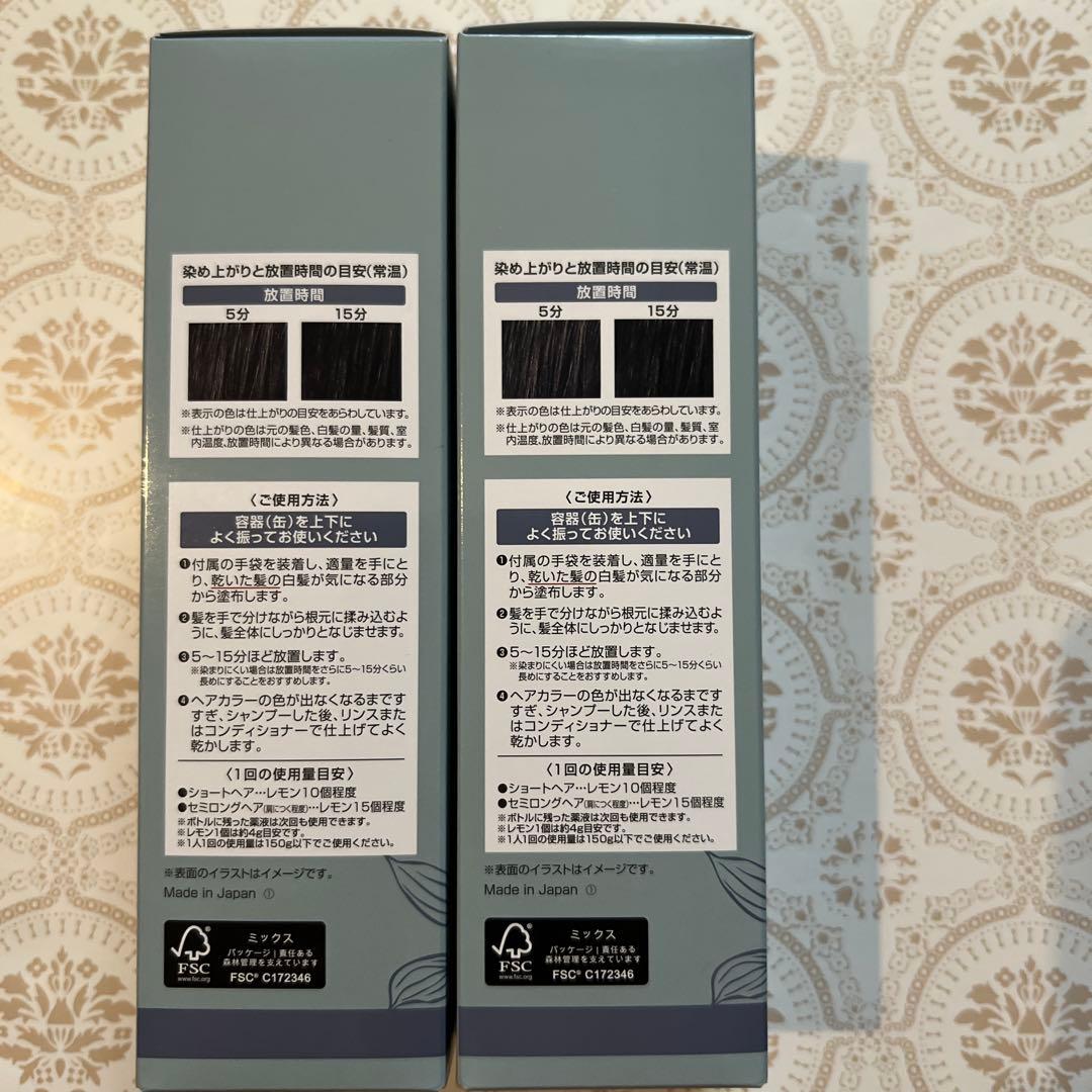 ÉCLAT Botanical air color foam ナチュラルブラック