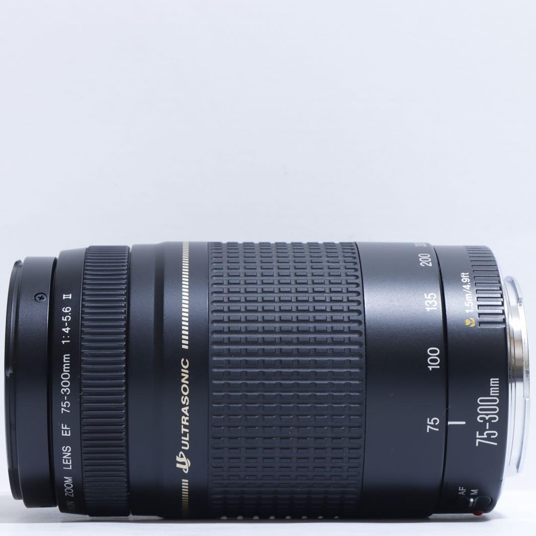 ◇超望遠&高速AF◇ Canon純正 75-300mm II型 望遠レンズ ◇
