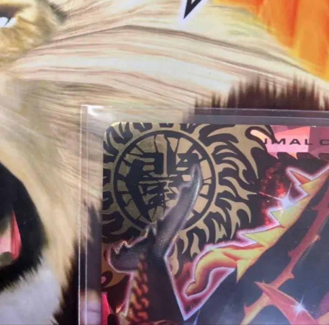 ジャズ　滅亡シロナガス帝王　英語版　EVO.8