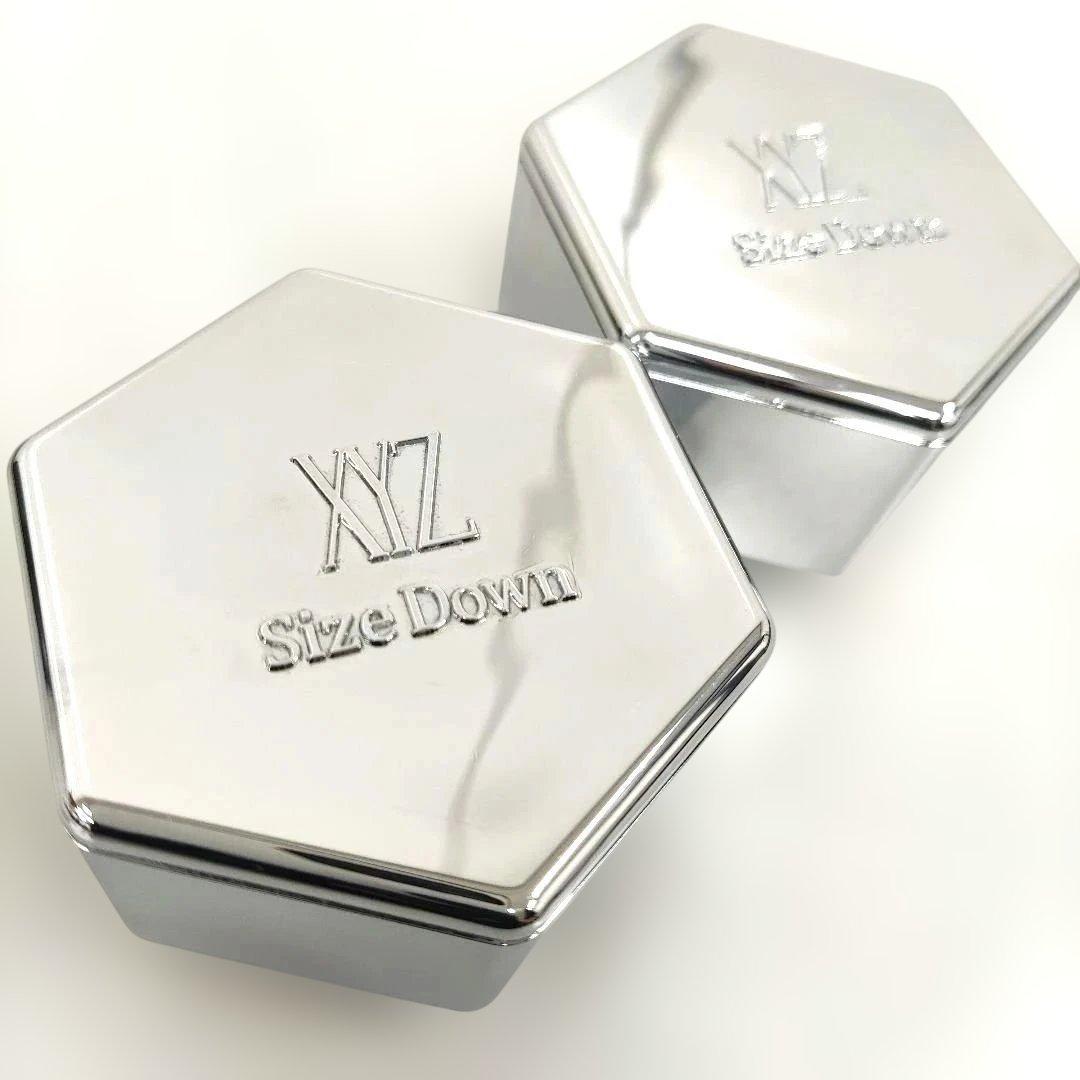 サイズダウン レボリューション 旧タイプロゴ 2個セット