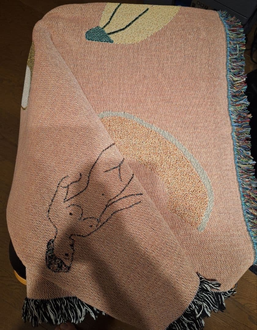 未使用 bfgf WORLDWIDE AURA ブランケット大判