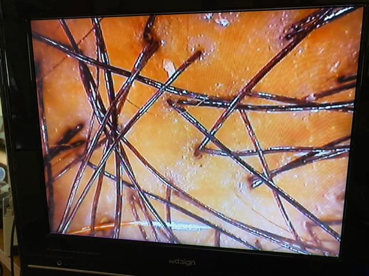 マイクロスコープ　新品♪ 値下げしました！