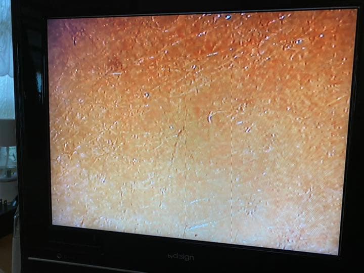 マイクロスコープ　新品♪ 値下げしました！