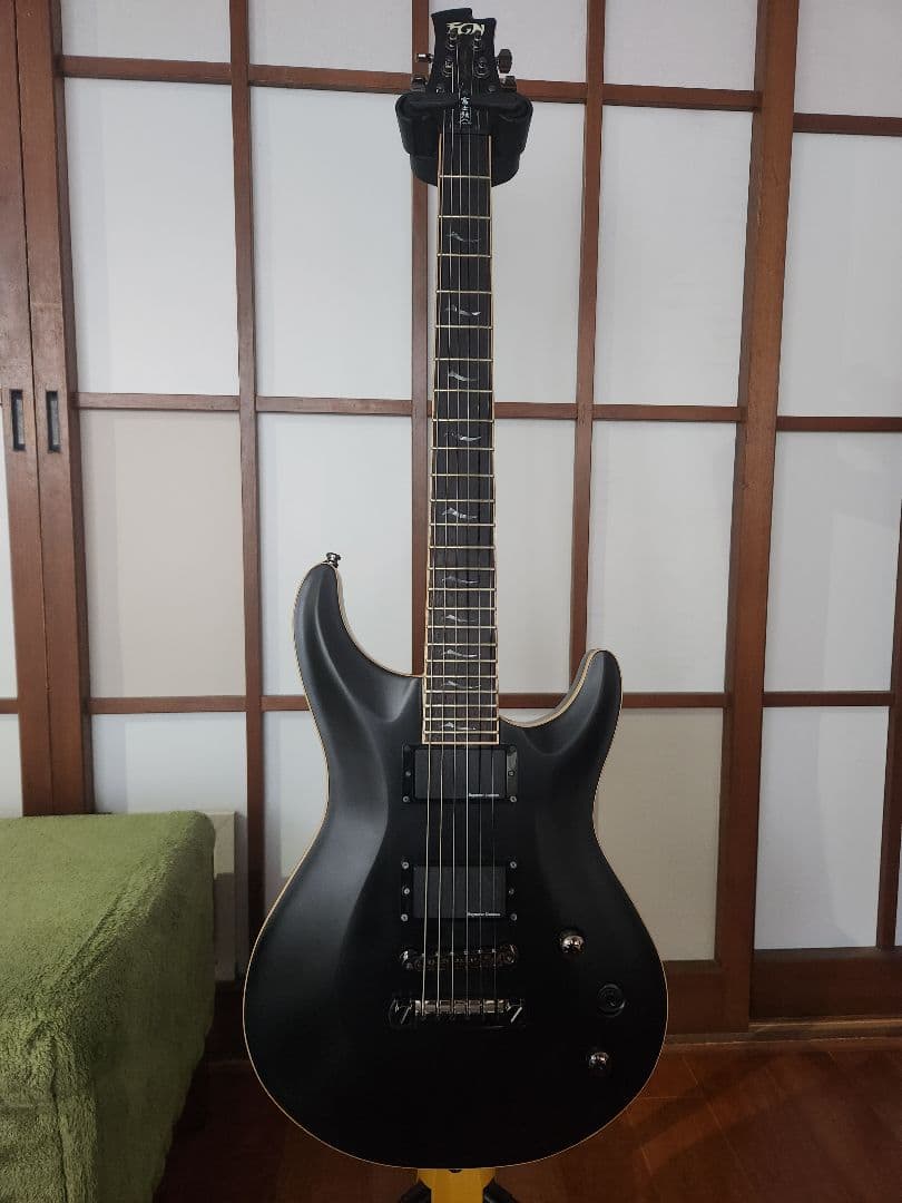 フジゲン Fujigen Expert Elan