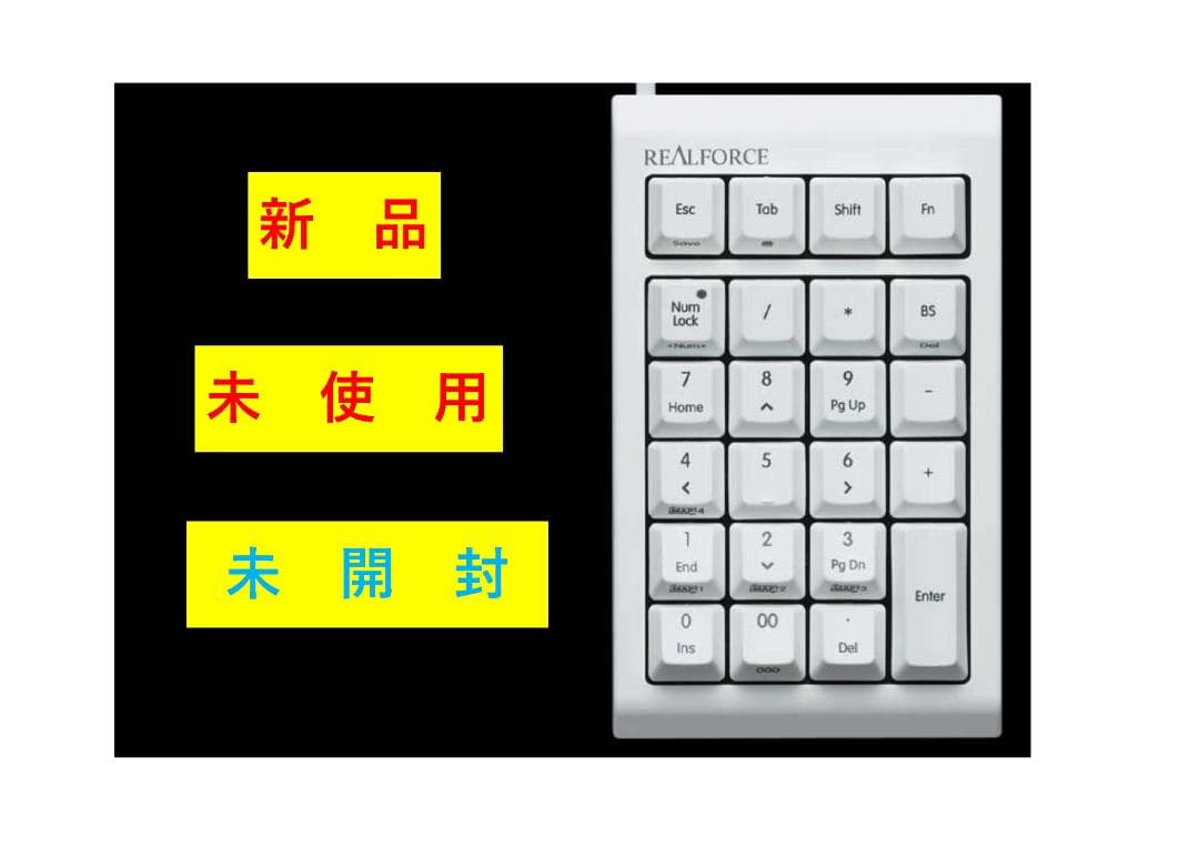 Realforce RT1 Ten Keyboard 白