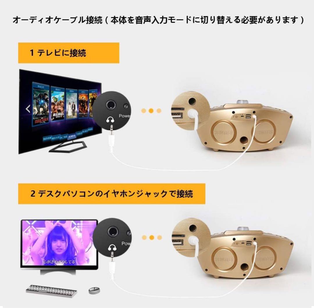 カラオケマイク 家庭用カラオケシステム ワイヤレスマイク マイク2本 無線接続