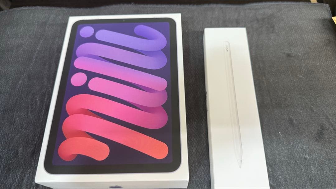 ジャンク　使用可能iPad mini6 256g +Apple Pencil2