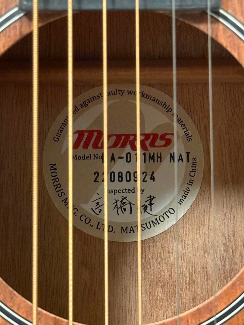 ギター Morris LA-011 MH NAT