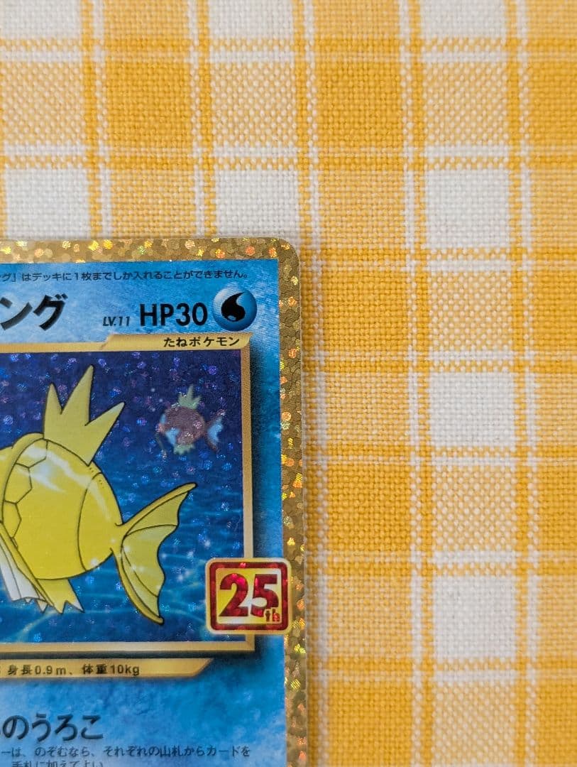 ひかるコイキング　25th