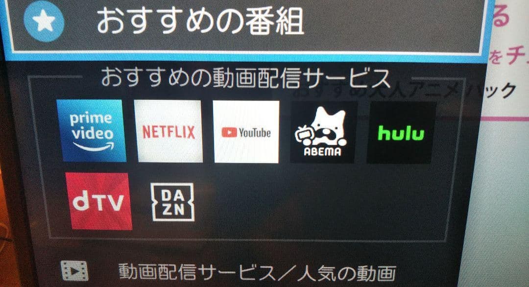 マロミ　テレビ REGZA 40型 2021年製 録画セット