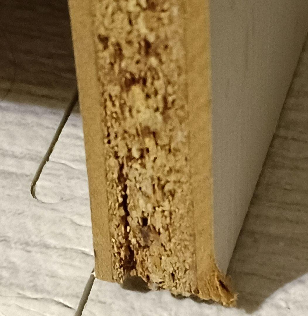 白井産業✿モンシェリーヌ　オープンラック✿②