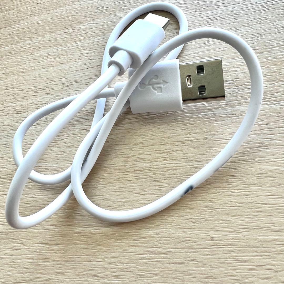 DiSM 美顔器 ディズム　EMS EER アンファー　メディスキンケアデバイス