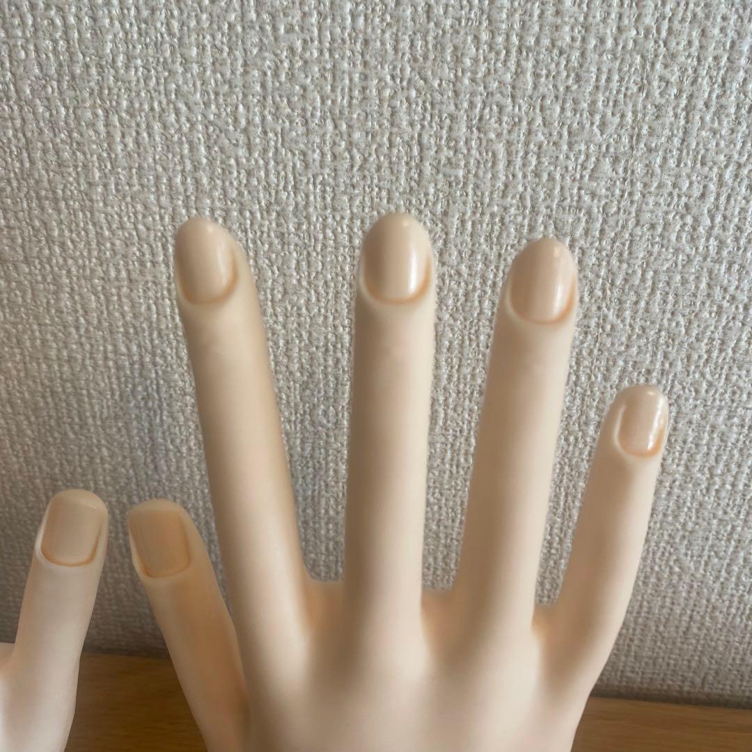 JNEC ネイリスト技能検定試験用　練習用セット認定モデルハンド