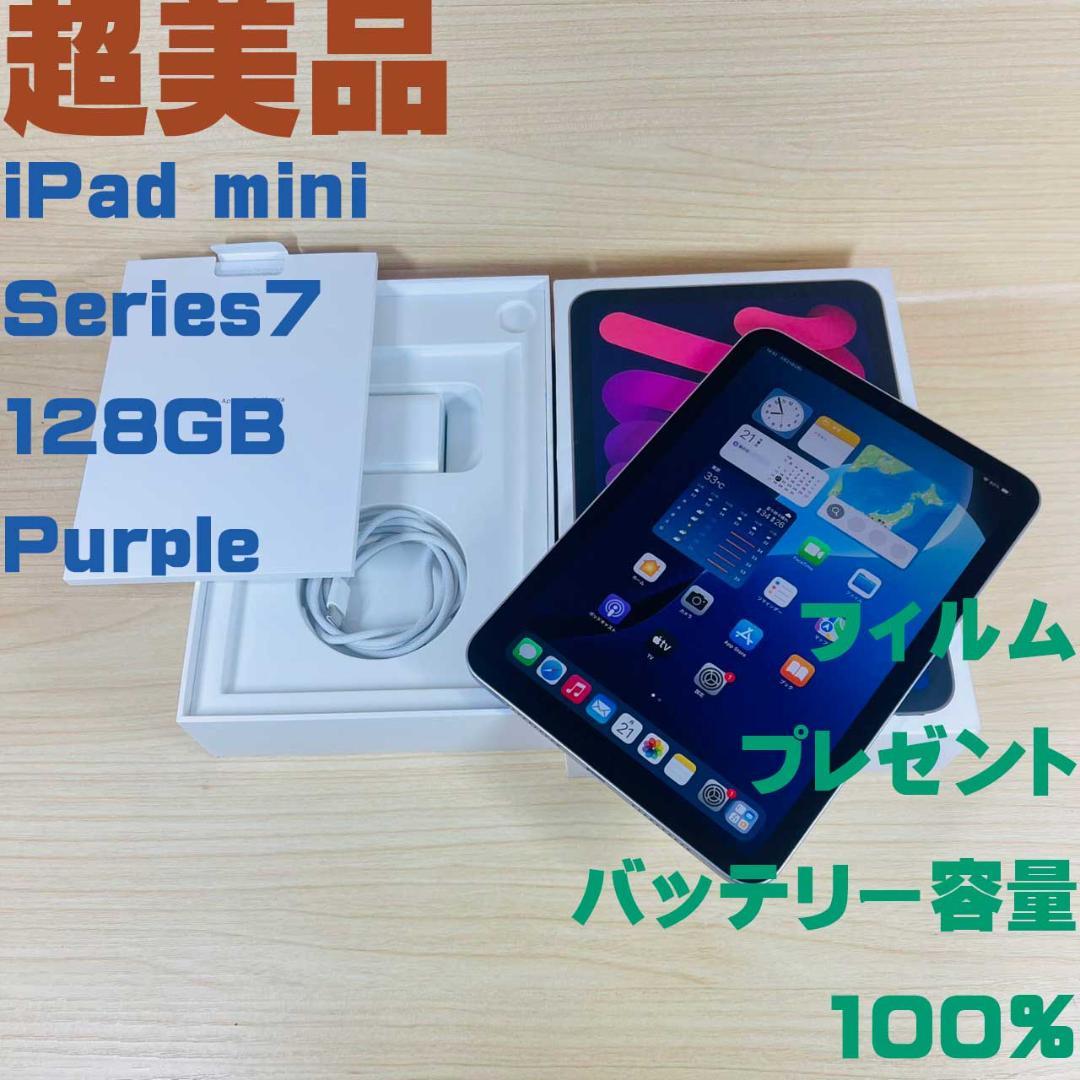 P248 超美品 iPad mini 第7世代 128GB Wi-Fi