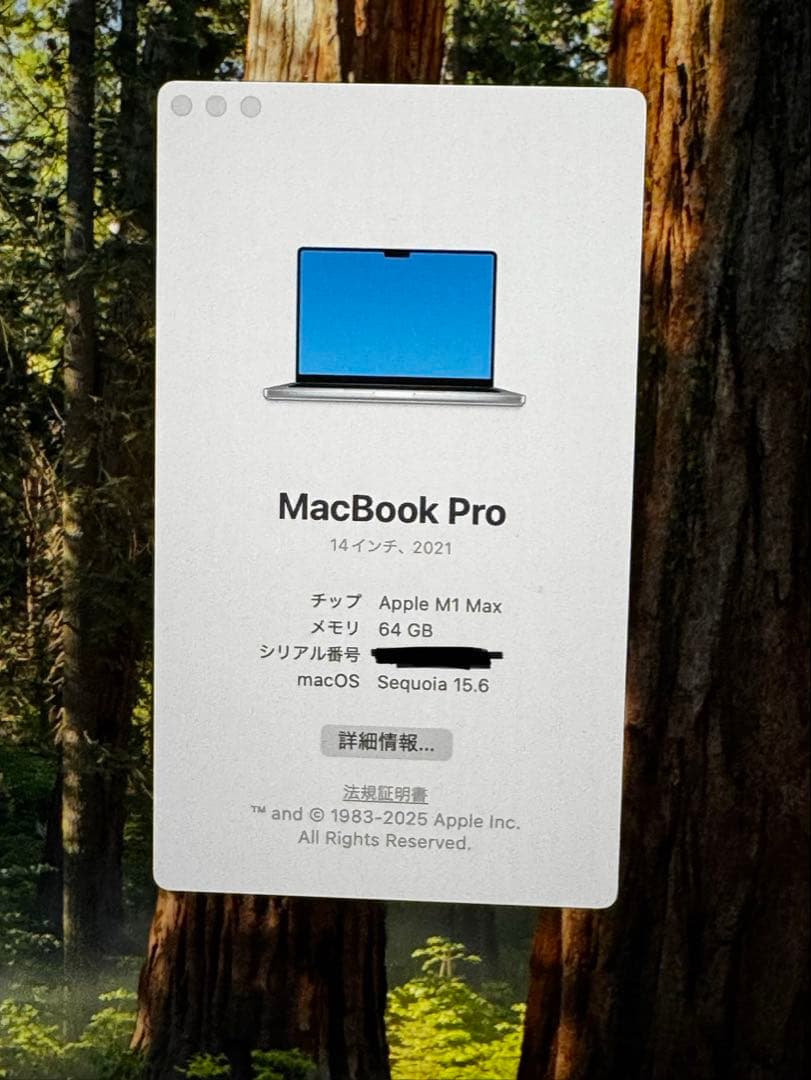 Apple MacBook Pro 14“ M1 Max 64GB US