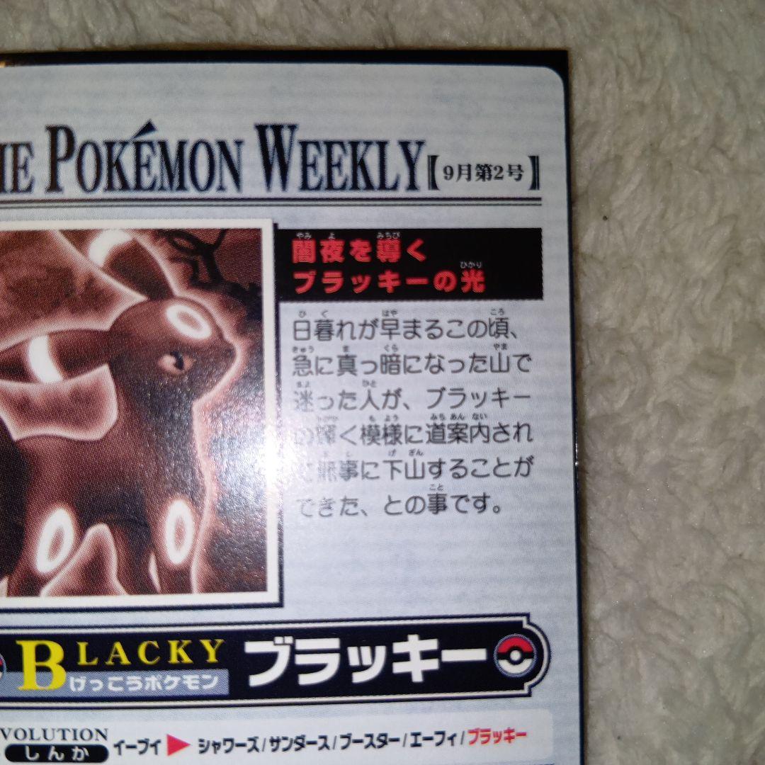 WEEKLY NEWS No.36：「闇夜を導くブラッキーの光」