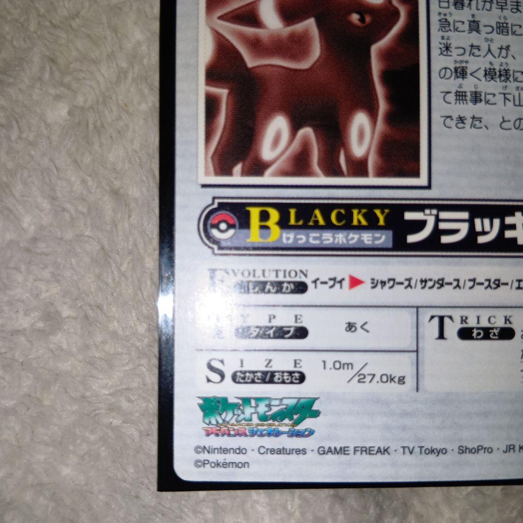 WEEKLY NEWS No.36：「闇夜を導くブラッキーの光」