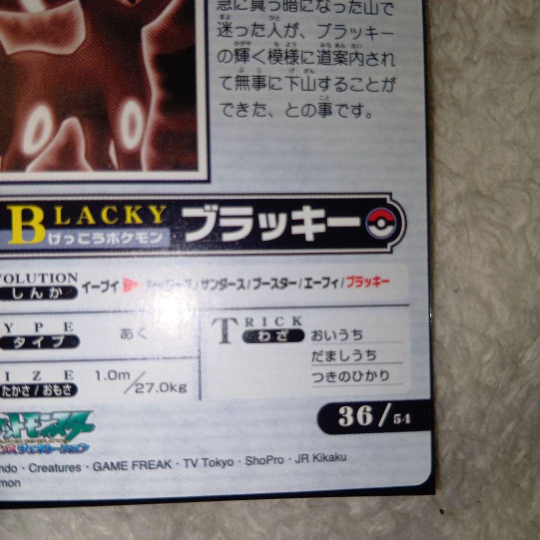 WEEKLY NEWS No.36：「闇夜を導くブラッキーの光」