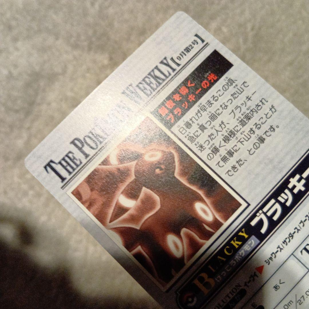 WEEKLY NEWS No.36：「闇夜を導くブラッキーの光」