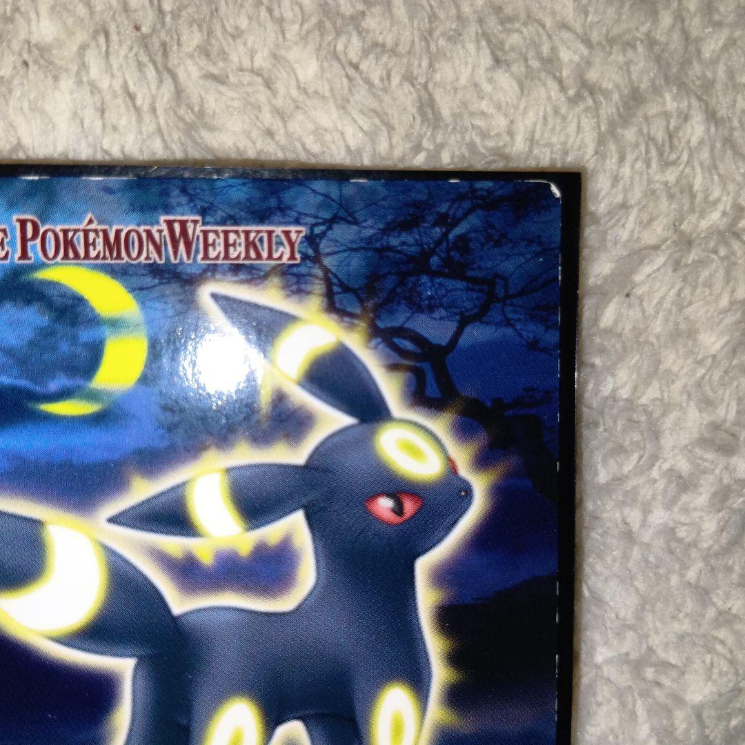 WEEKLY NEWS No.36：「闇夜を導くブラッキーの光」