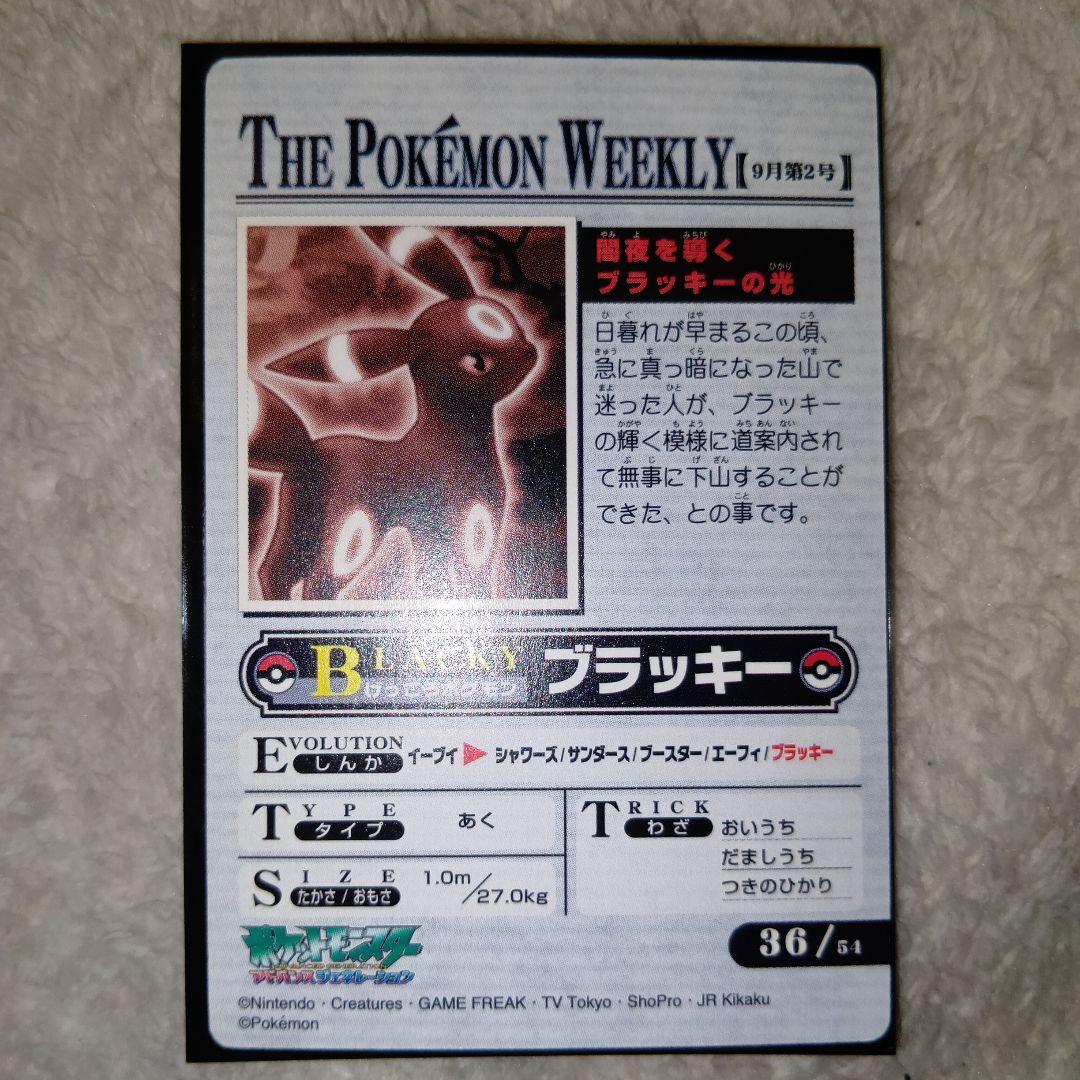 WEEKLY NEWS No.36：「闇夜を導くブラッキーの光」