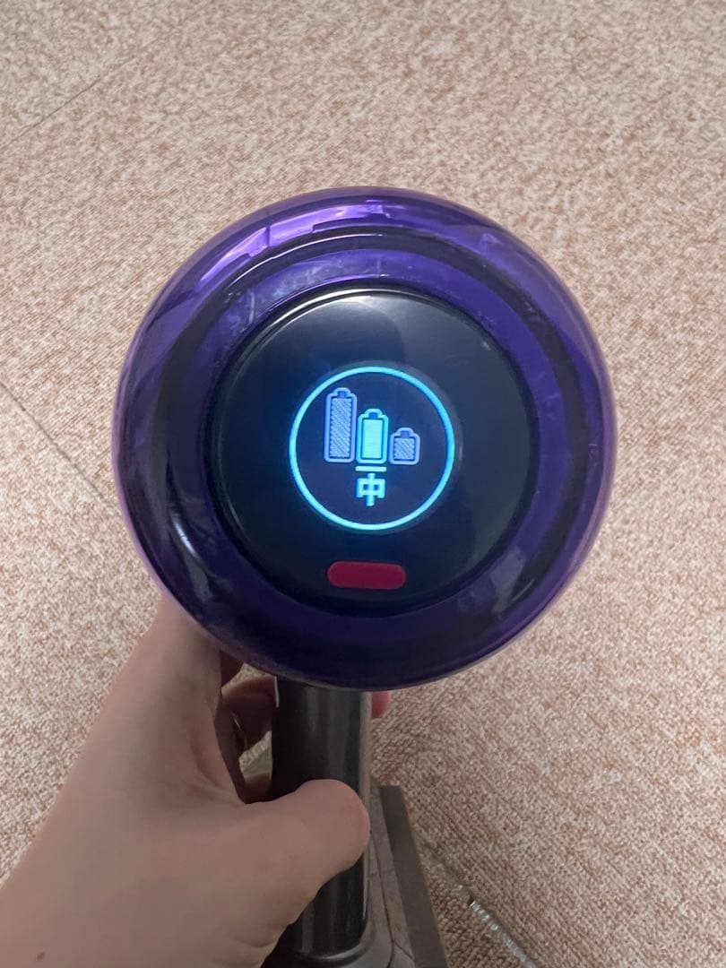 ダイソン 掃除機 V12 Detect Slim Fluffy