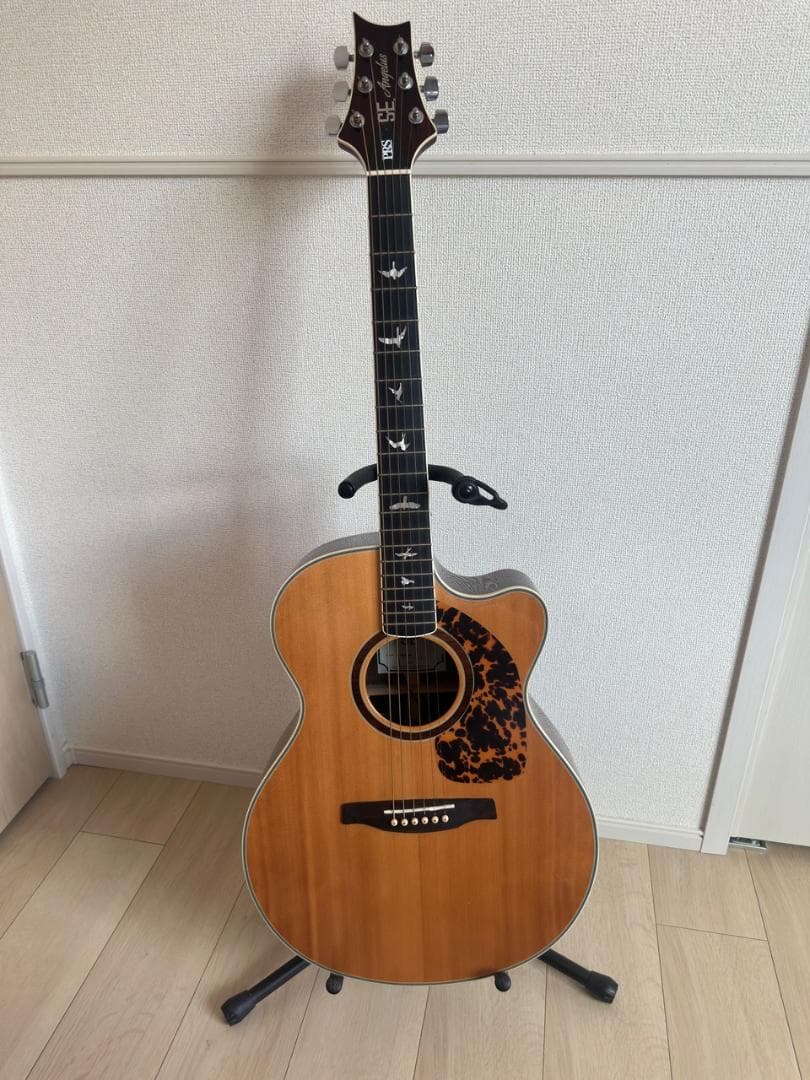 ギター PRS SE