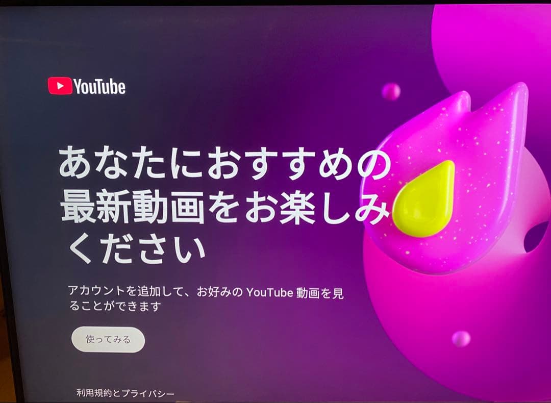 【金欠学生】BRAVIA KJ55X9300D ソニー55インチ4K