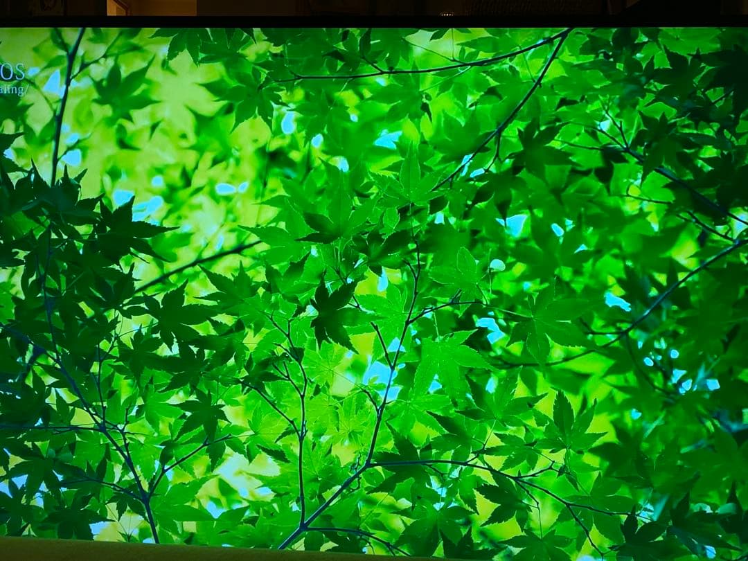 【金欠学生】BRAVIA KJ55X9300D ソニー55インチ4K