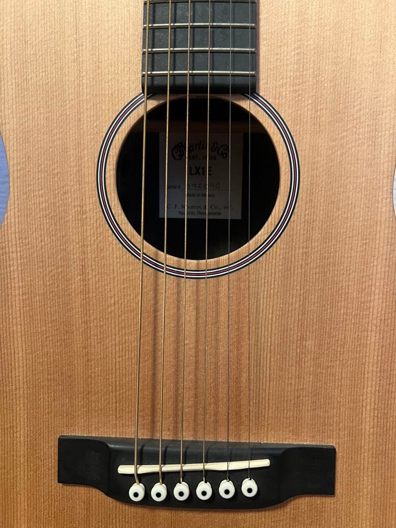 Martin & Co. LX1E アコースティックギター ギターケース付き