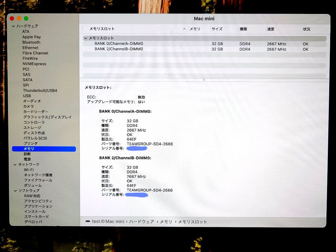 Mac mini メモリ64GB SSD1TB Core i5