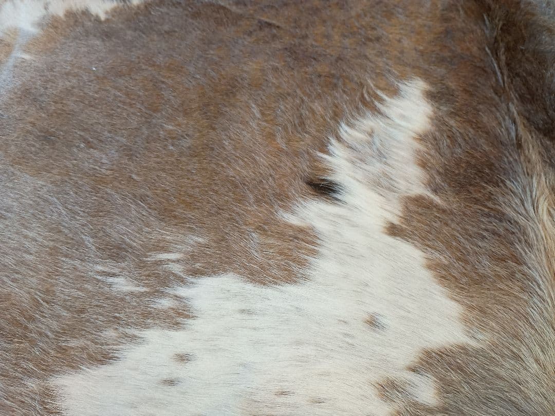 天然牛革ラグ 特大 カウラグ