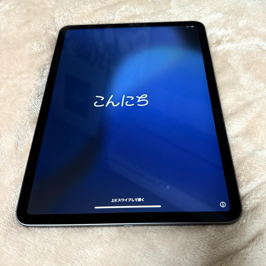 Apple iPad Pro 11 (第3世代) M1スペースグレー 極美品！！