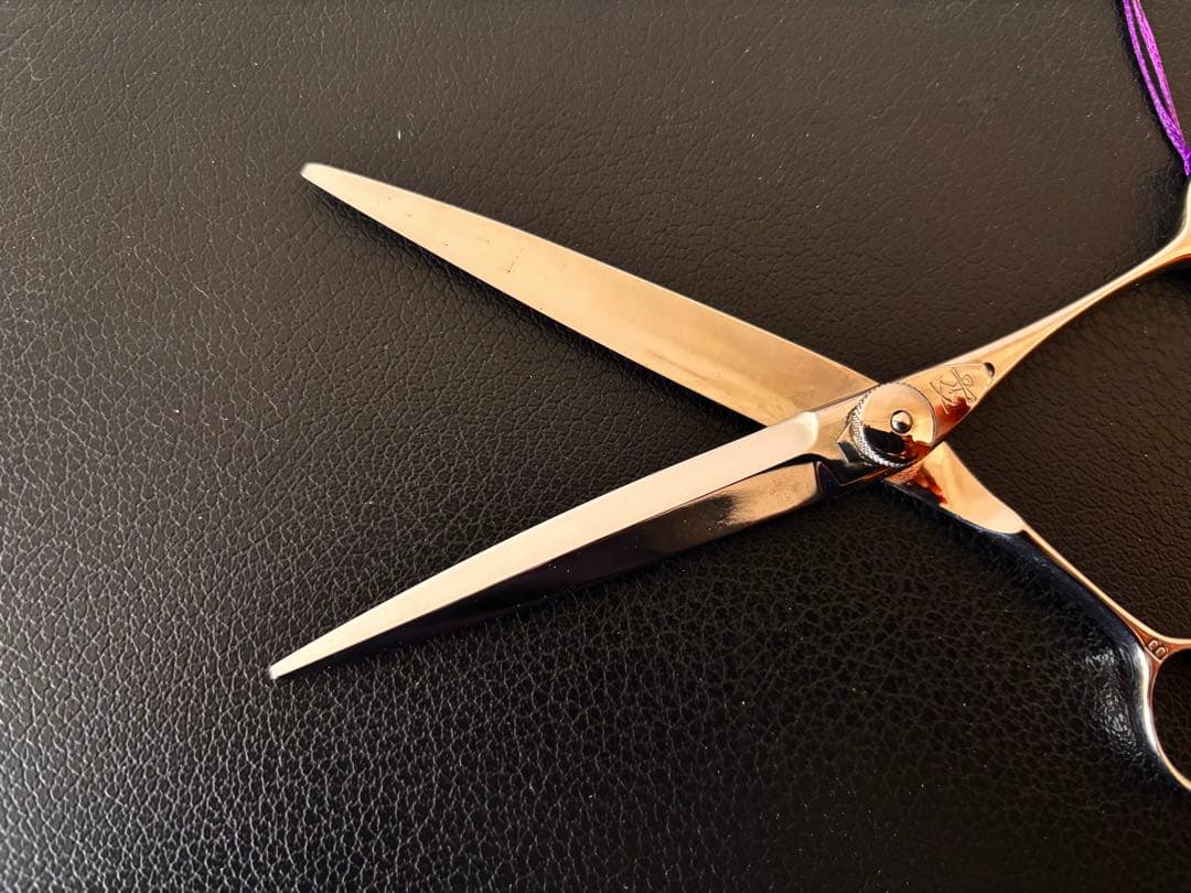 【新春セール】新品 未使用 ハイネッタ シザー マイカスタム102