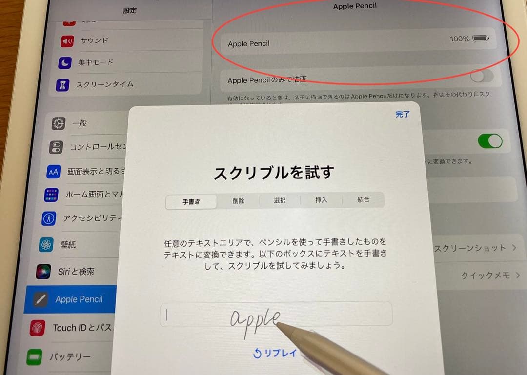 Apple pencil 第一世代　美品　付属品完備　アップルペンシル