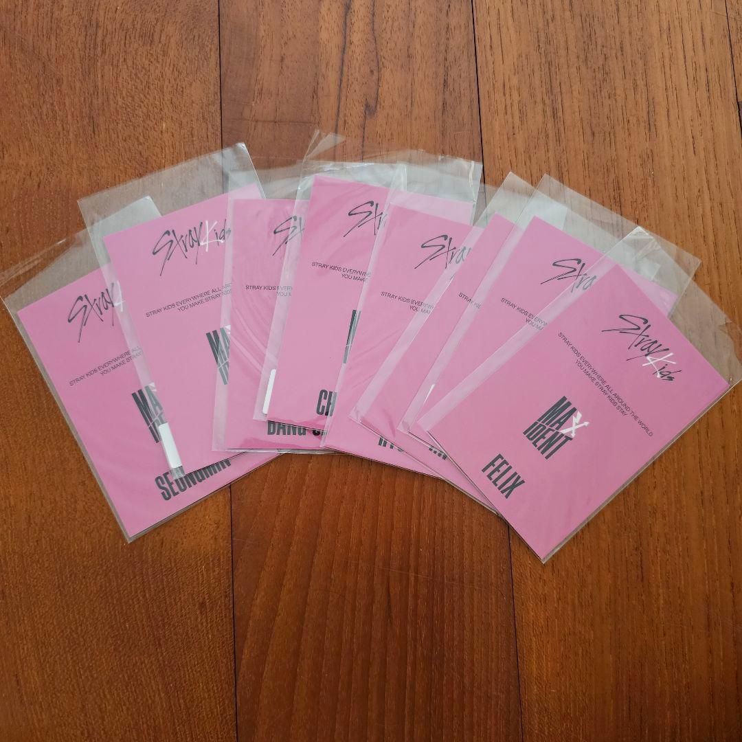 straykids スキズ maxident ソニー特典 8枚 コンプ