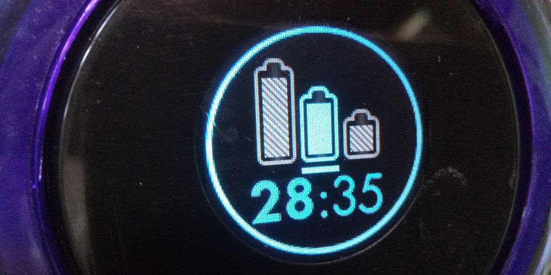 ダイソン掃除機 sv14 本体