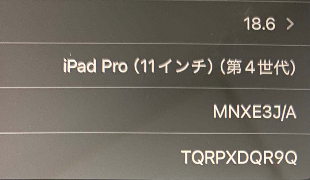 Apple iPad Pro 11インチ　第4世代　128GB